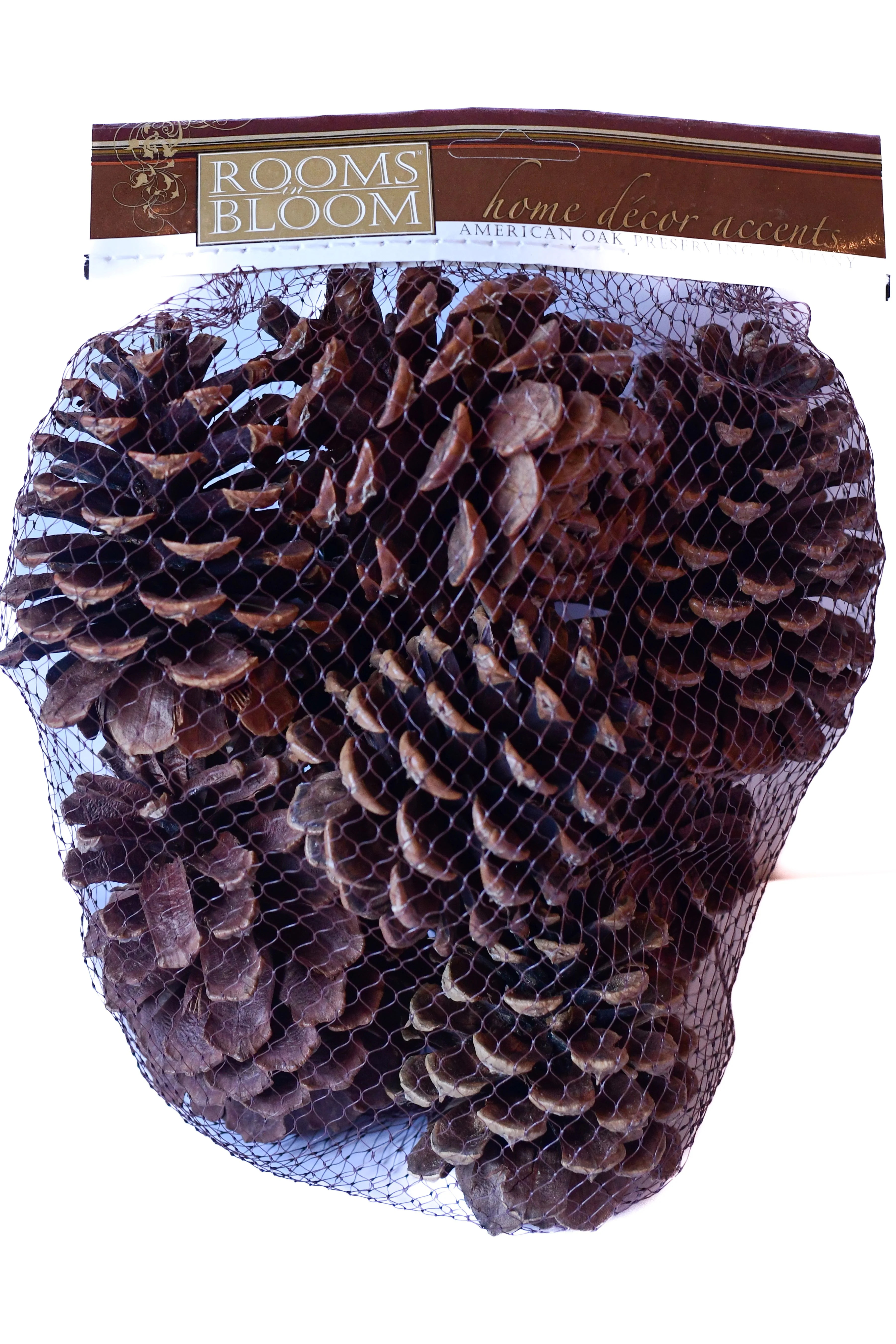 Rooms in Bloom 100% Natural Brown Cinnamon Scented Pine Cones | Walmart (US)