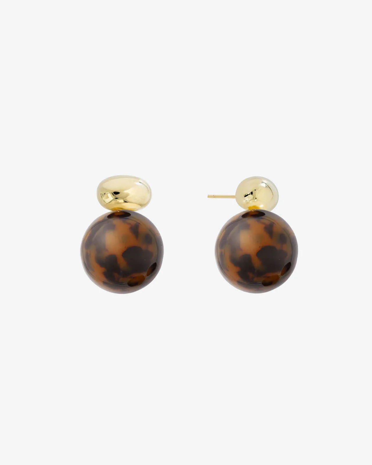 Shashi Alice Tortoise Earring | Splendid | Splendid