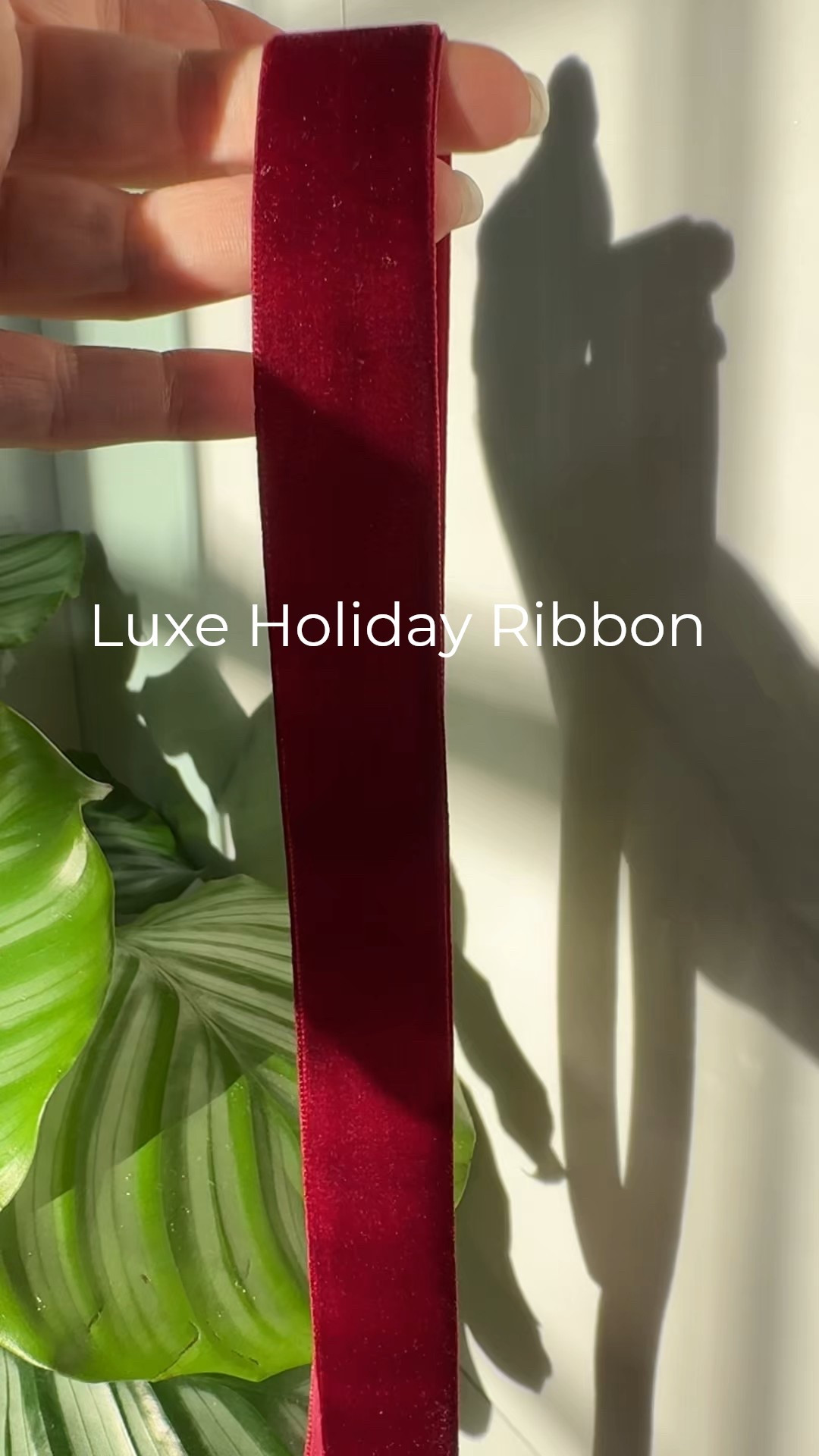 The ribbon that makes every branch feel intentional❤️ Burgundy and taupe ribbon

Christmas, holiday ribbon, Amazon, Amazon home, Amazon Christmas 

#holidayribbon #ltkstyletip #amazon #christmasdecor #burgundy #ribbon #ltksalealert

#LTKFindsUnder50 #LTKSeasonal #LTKHoliday