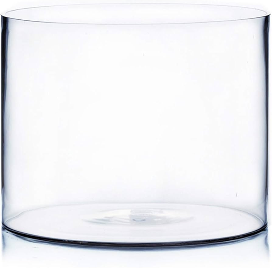 WGV Cylinder Vase, Width 10", Height 8", Clear Wide Large Diameter Flower Glassware, Floral Conta... | Amazon (US)