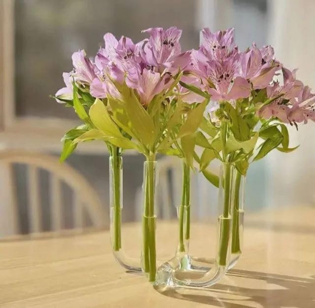 Vaso Tubo de Vidro Decorativo – 5 Tubos | Design Moderno Artesanal em Vidro para Arranjos Flora... | Amazon (BR)