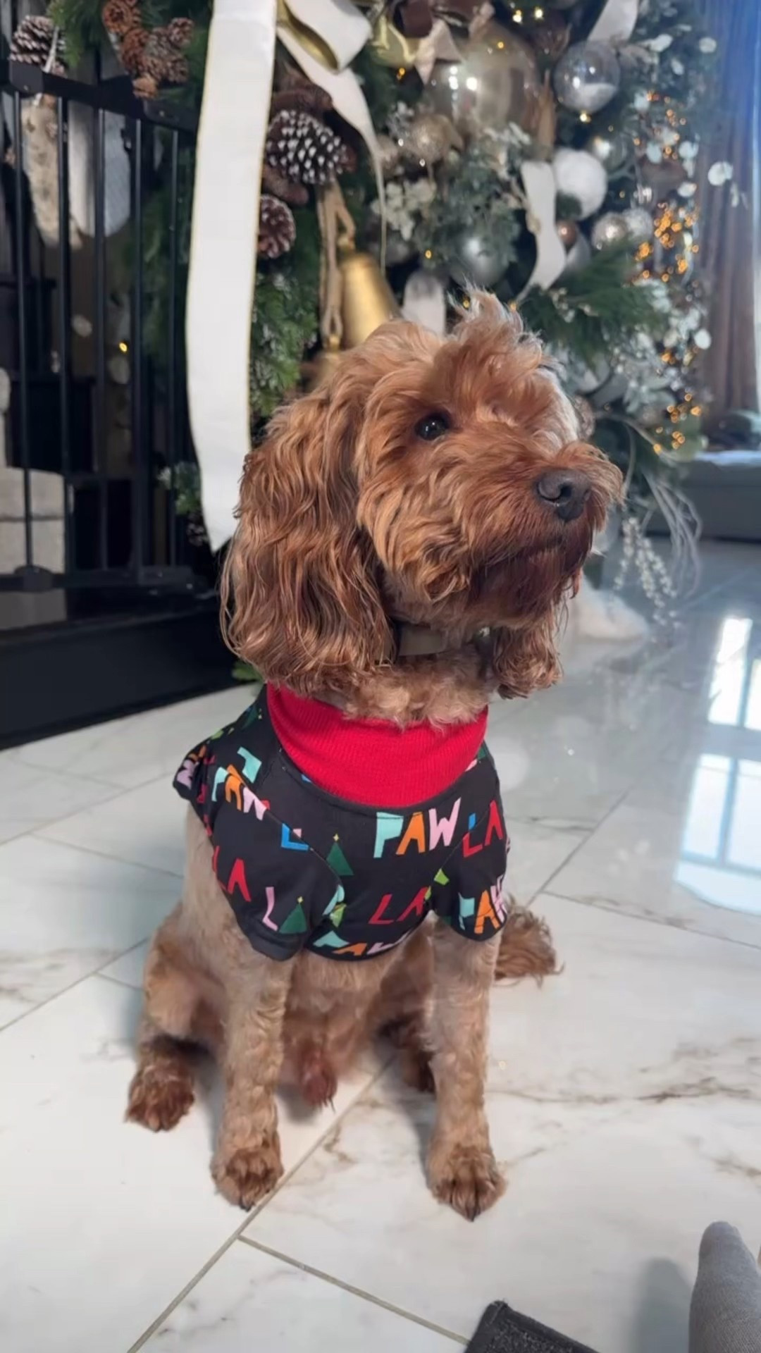 @petco #Ad #PetcoPartner 
Grab holiday gifts for your fur babies at Petco! It's a one-stop shop for all of the holiday gifts and essentials  

#LTKHoliday #LTKFindsUnder100