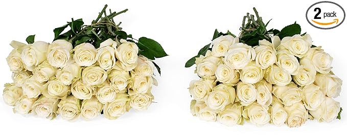 Benchmark Bouquets 50 White Roses Farm Direct (Fresh Cut Flowers) | Amazon (US)
