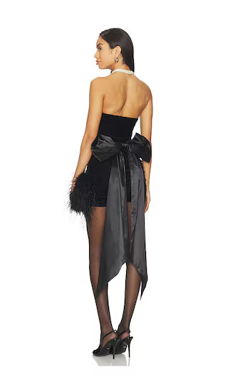 Carsyn Mini Dress in Black | Revolve Clothing (Global)