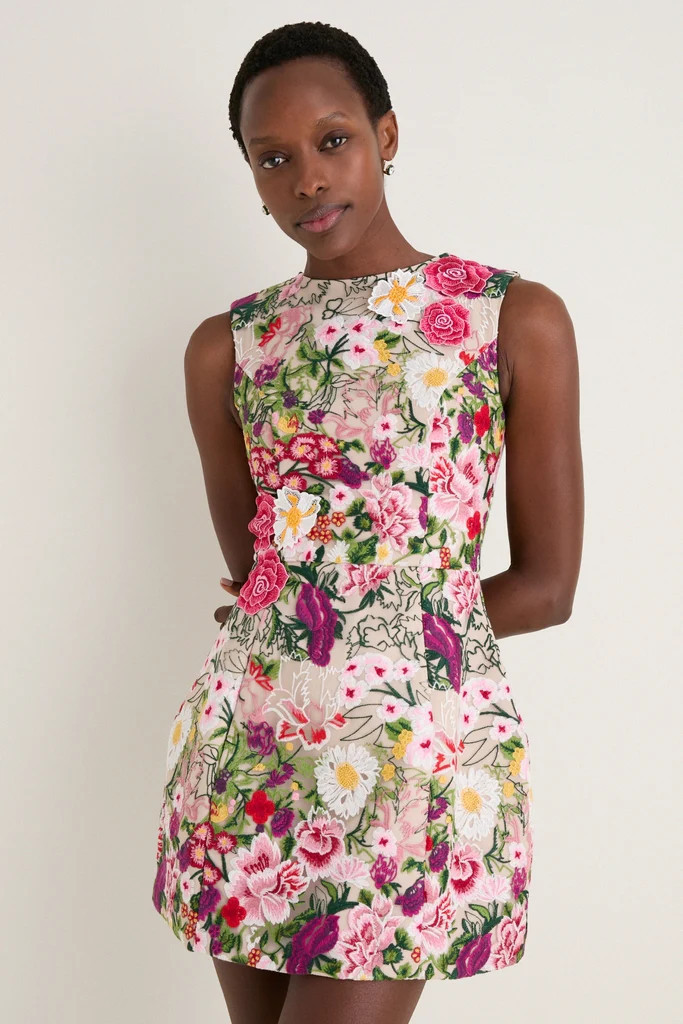 Multi Floral Mesh Flora Mini Dress | Tuckernuck (US)