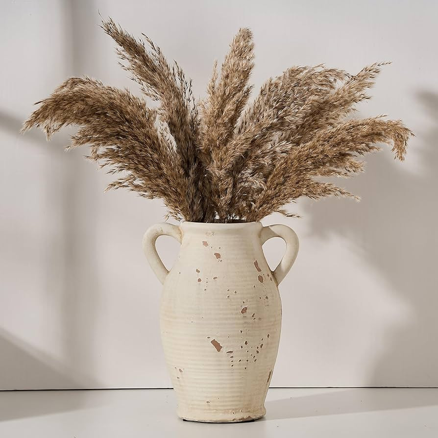 Large Ceramic Rustic Vase with 2 Handles, 9.8 inch Farmhouse Flower Vase, Distressed Vase for Hom... | Amazon (US)
