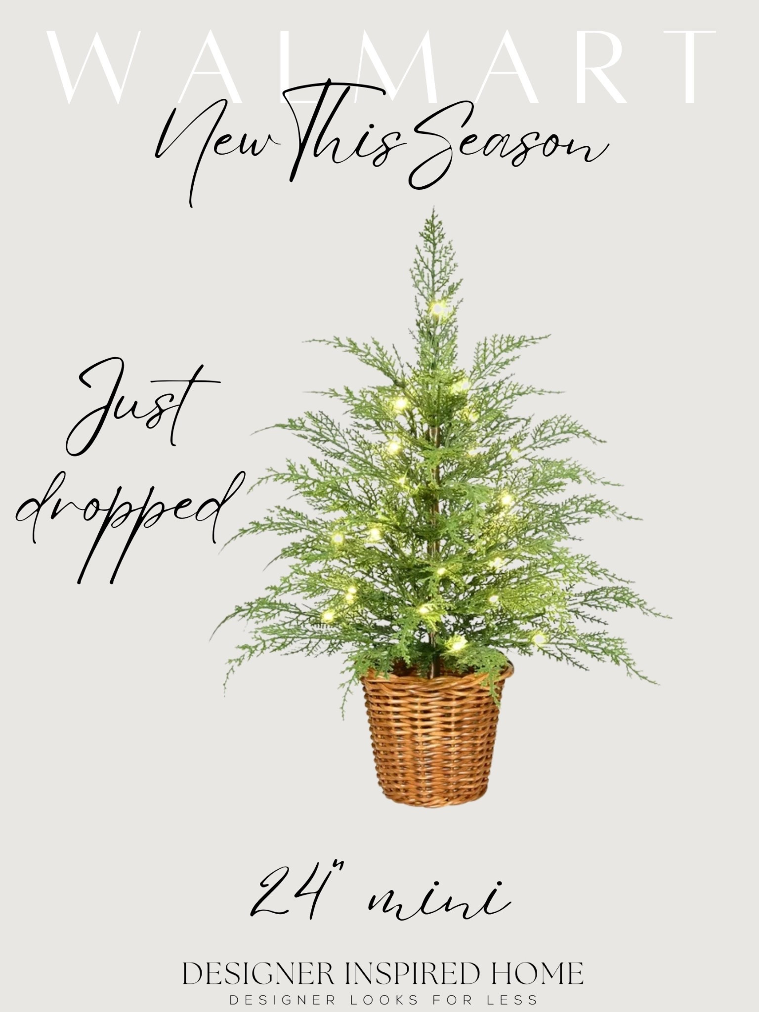 New arrival Mini cypress trees! 

#LTKFindsUnder50 #LTKHome #LTKSeasonal