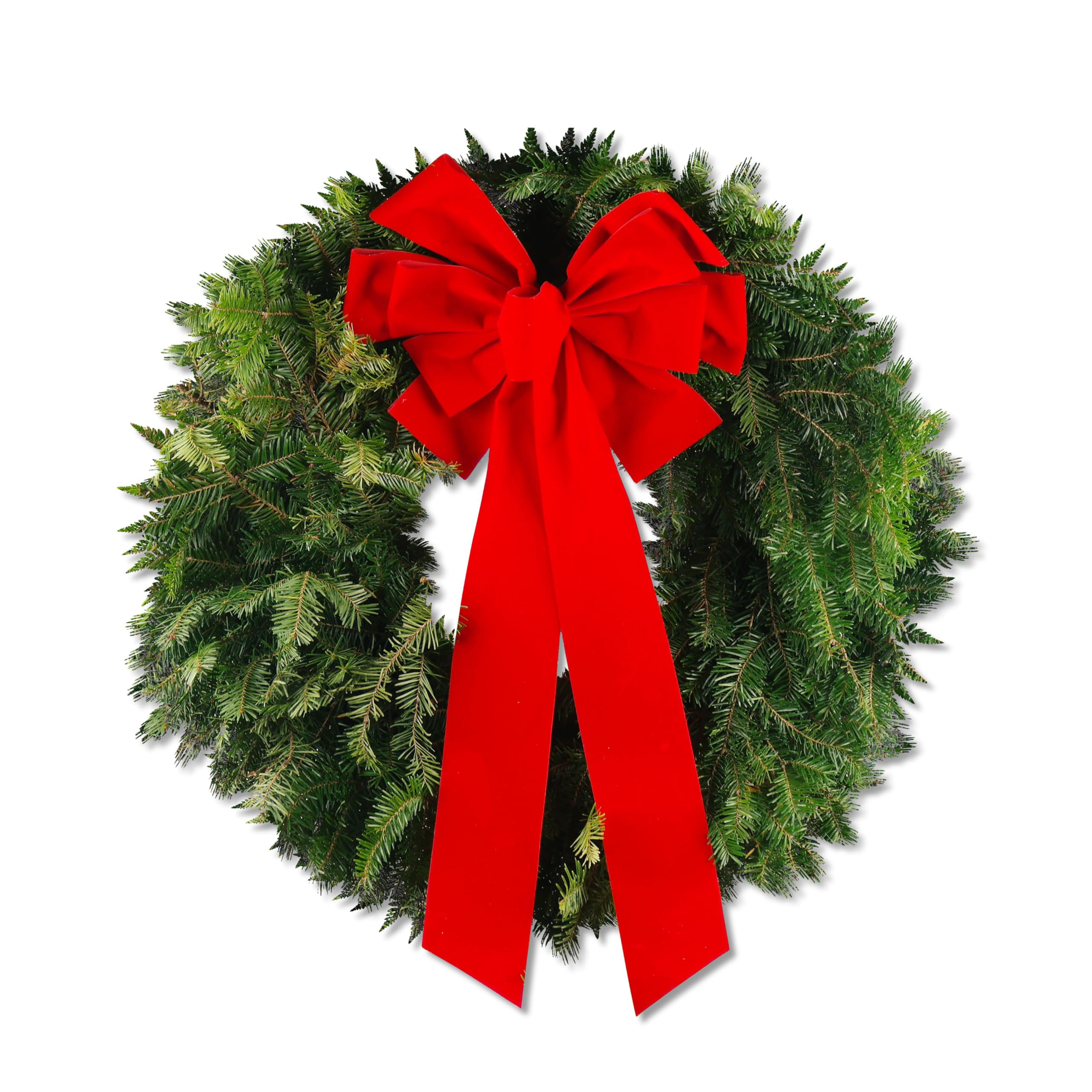 24" inch Diameter Fresh Live Balsam Holiday Real Wreath with Red Velvet Bow | Amazon (US)