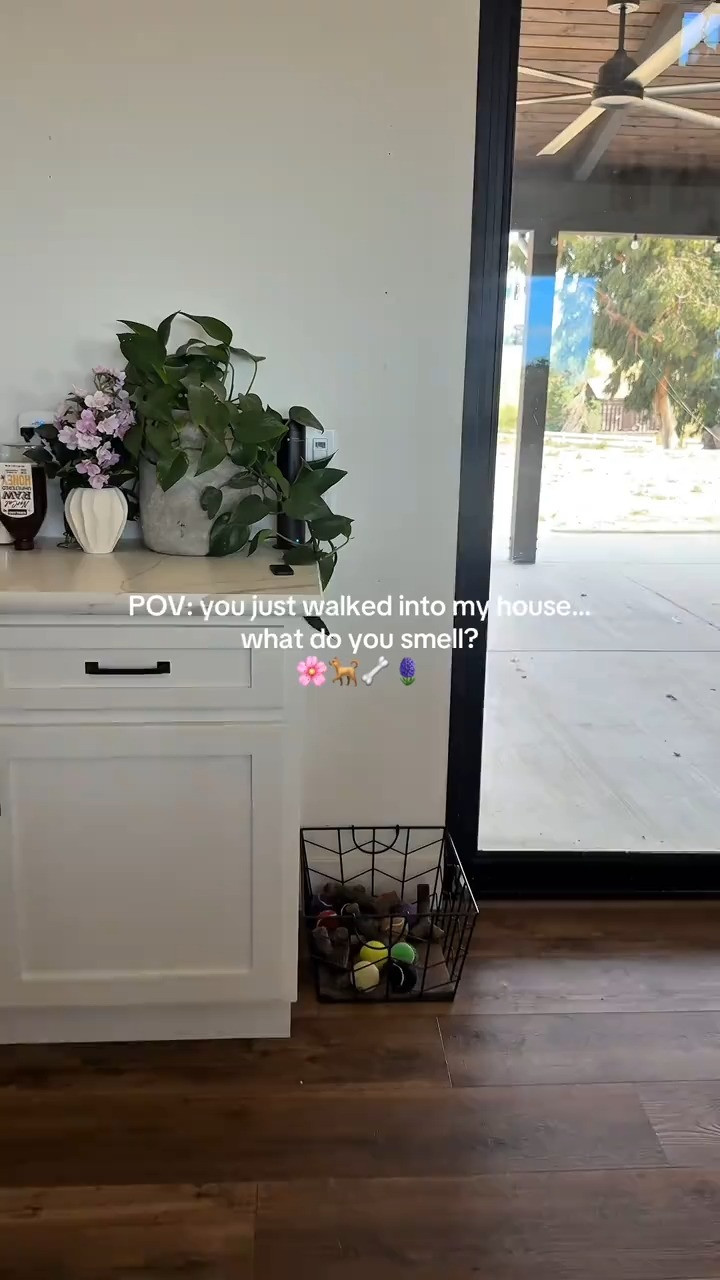 my house went from 🐶 to ✨ lobby energy ✨ real quick  

 #LTKdayinmylife #LTKselfcare #LTKHome