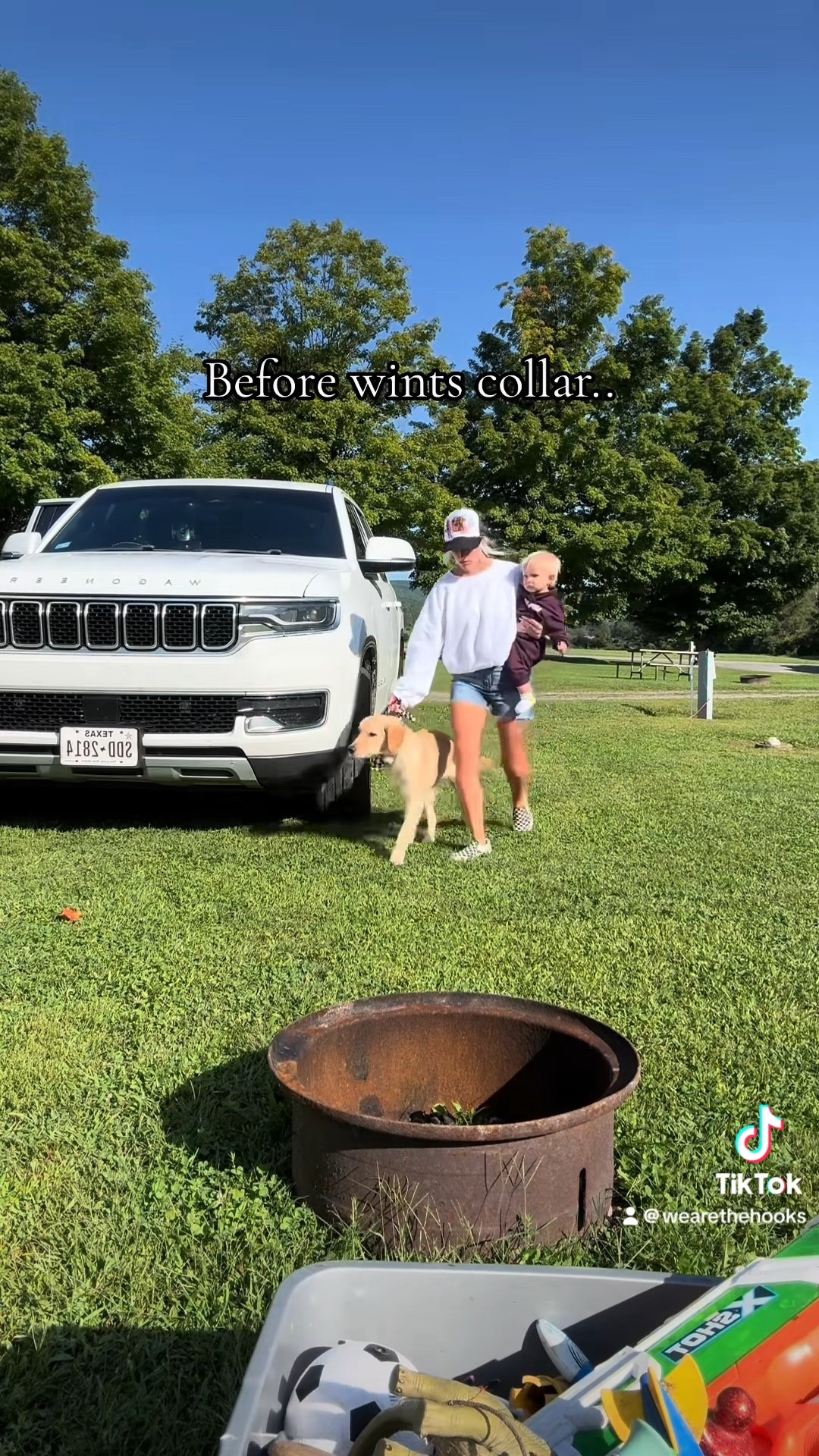 Calling all dog moms, this is a game changer 👀 
#LTKpets
#LTKdogmom 
