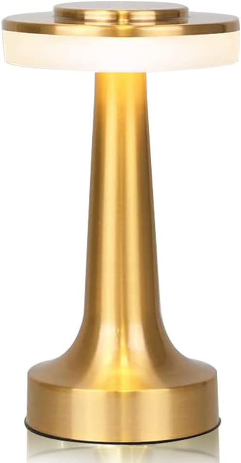 Portable Metal Desk Lamp,3 Color Touch Sensor Control Cordless LED Table Lamp,3-Levels Brightness... | Amazon (US)