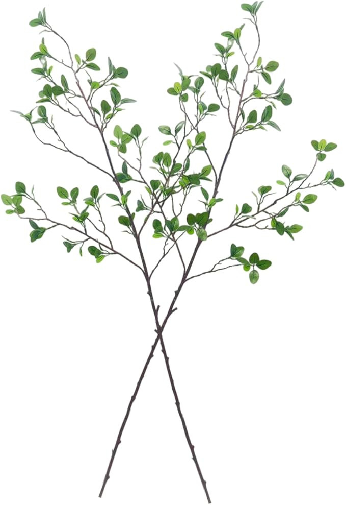 2Pcs Greenery Stems Artificial Branches for Vase Faux Stems and Branches for Vase Home Office Wed... | Amazon (US)