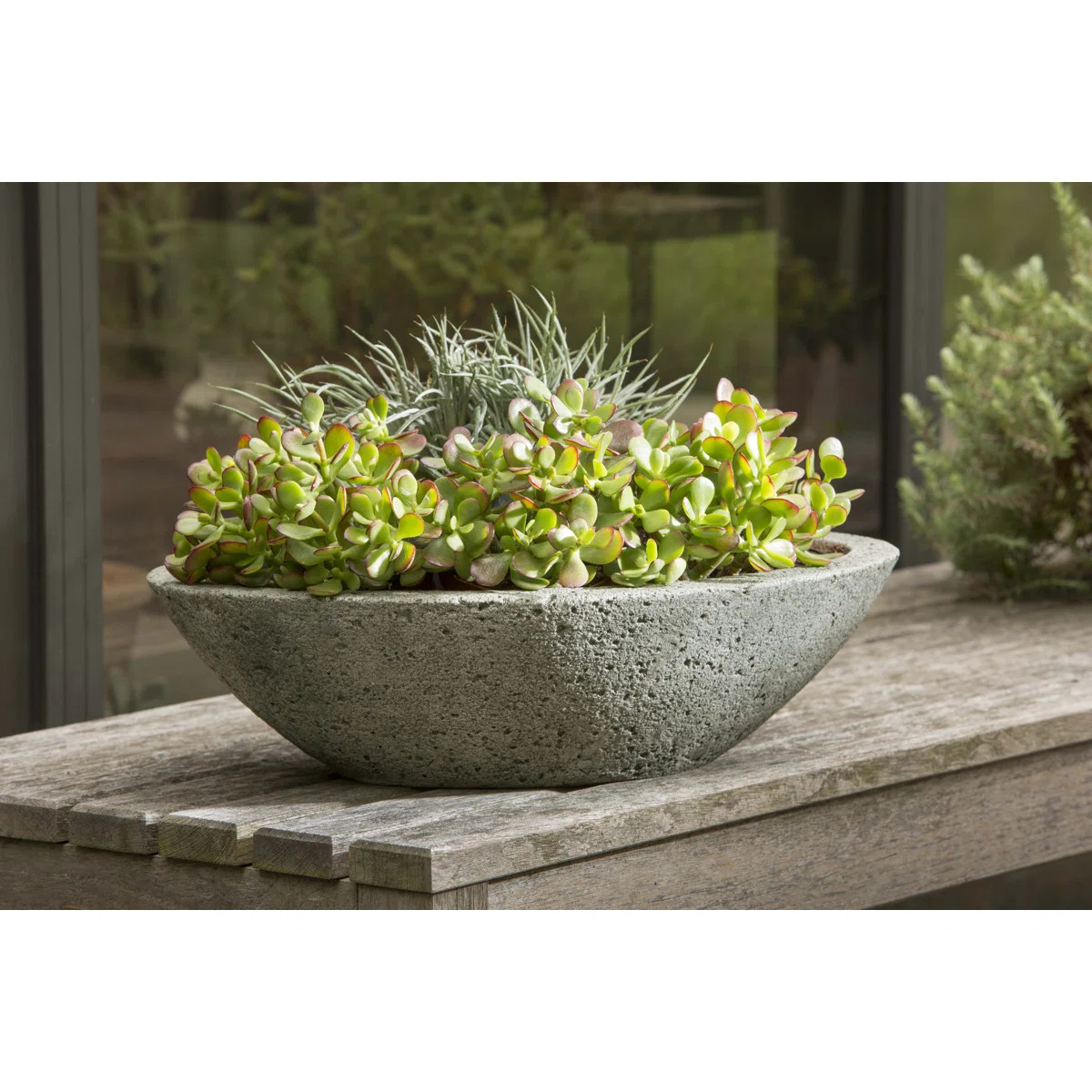 Estancia Pot Planter | Wayfair North America