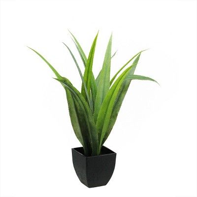 Northlight 21.5" Agave Succulent Artificial Potted Plant - Green/Black | Target