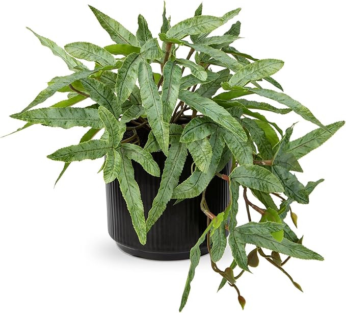 Briful Faux Plants Indoor 9'' Artificial Potted House Plant with Black Ceramic Pot Fake Pteris Cr... | Amazon (US)