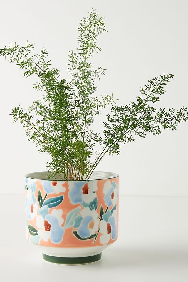 Maggie Stephenson Happiness Blooms Pot | Anthropologie (US)