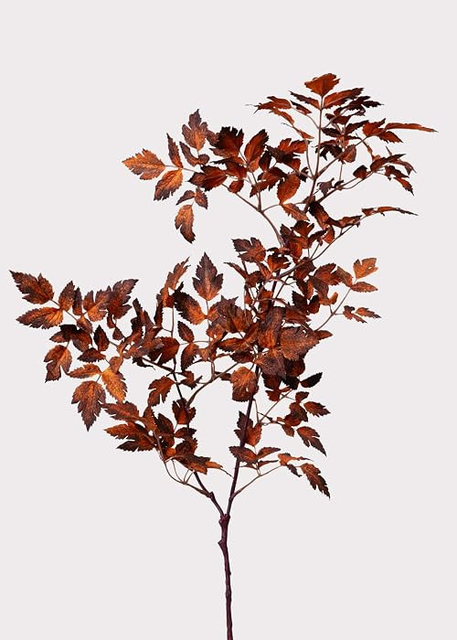 Afloral™ Faux Cimicifuga Leaf Spray in Brown - 31" | Amazon (US)