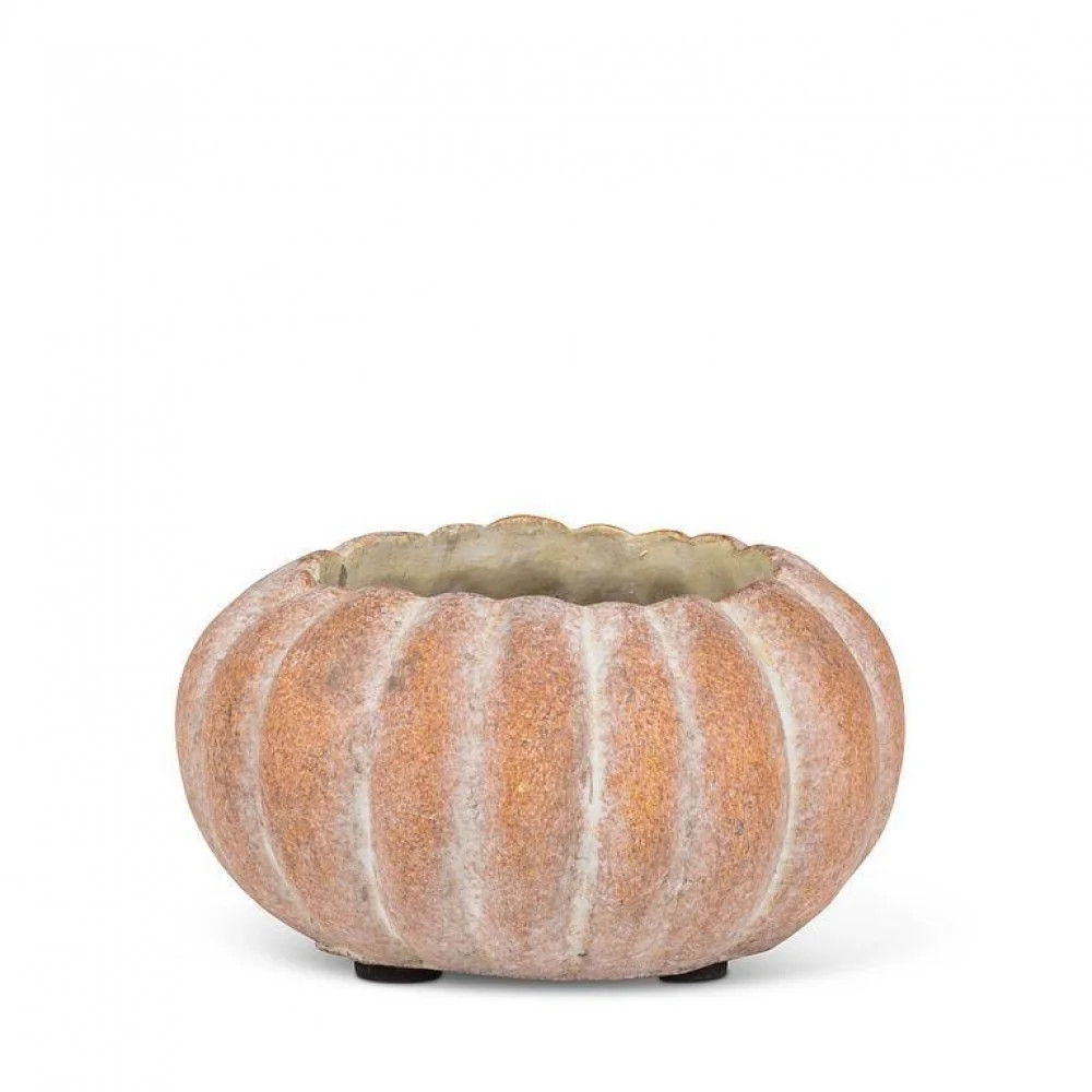 Mini Low Pumpkin Planter | Wayfair North America