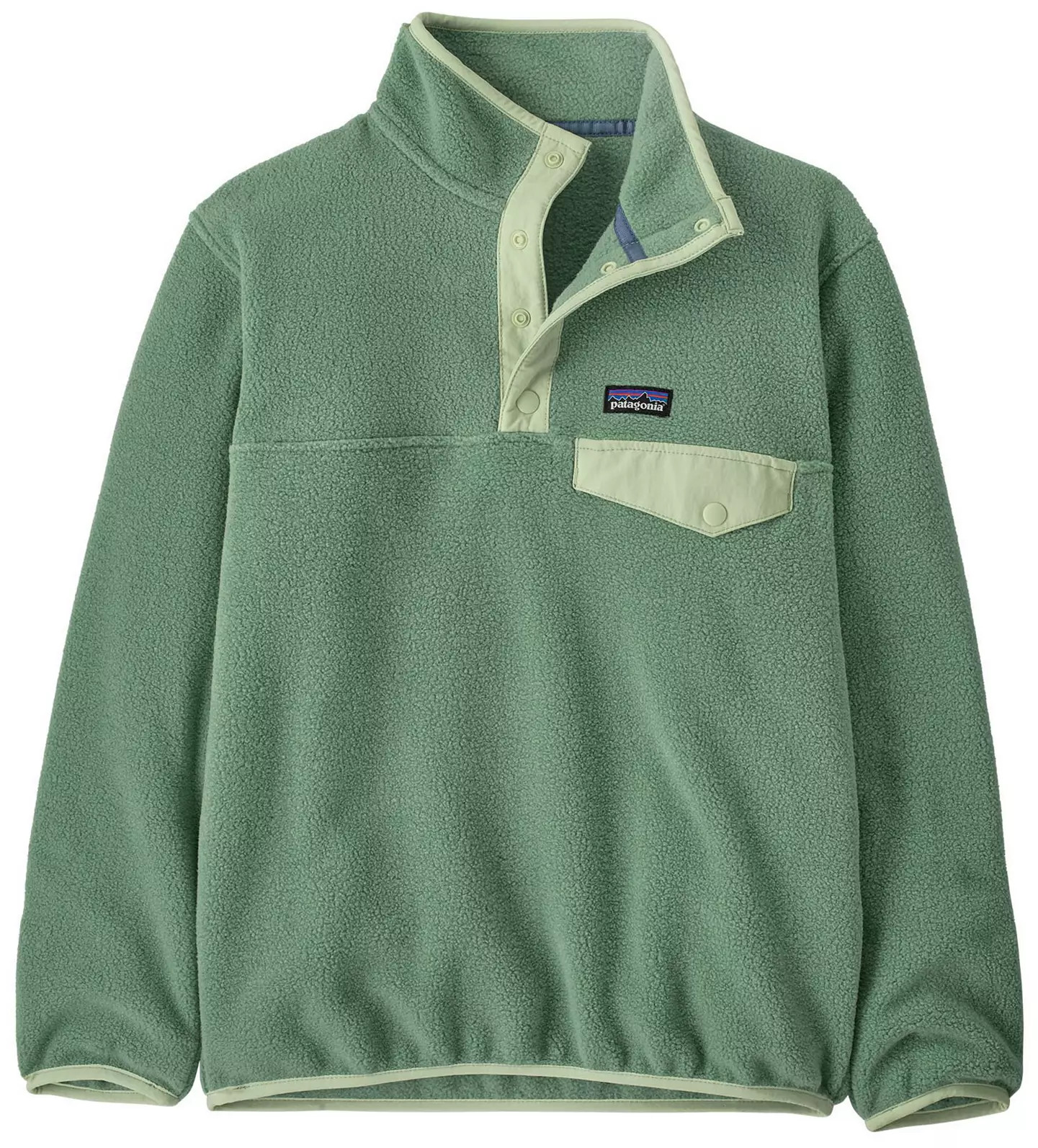 Patagonia Boys' Lightweight Synchilla Snap-T Pullover | DICK'S Sporting Goods