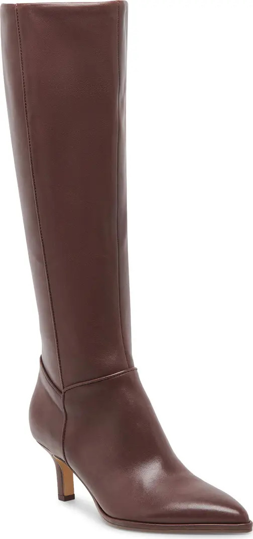 Dolce Vita Aldy Pointed Toe Knee High Boot (Women) | Nordstrom | Nordstrom