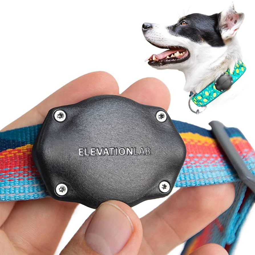 Elevation Lab TagVault AirTag Dog Collar Mount (Single) - IP69 Waterproof, Doesn't Dangle, Fits A... | Amazon (US)