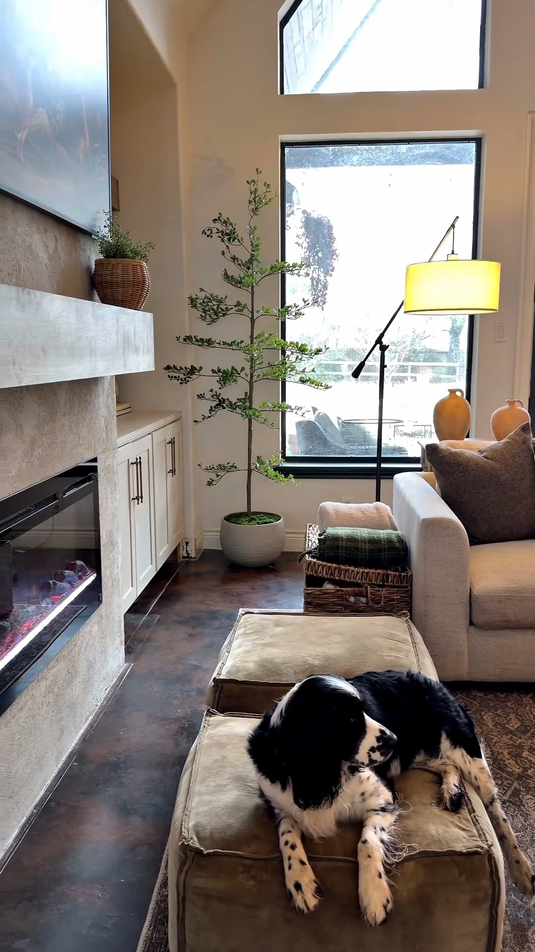 Amazon tree on sale 

#LTKSaleAlert #LTKHome