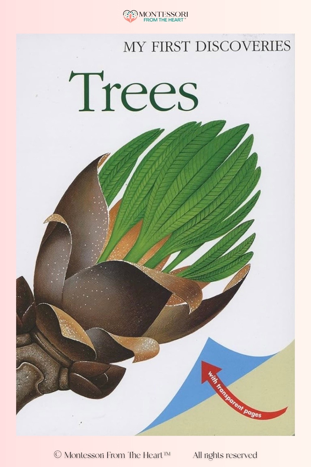 Trees ~ My First Discoveries Series of Books for Kids 

#LTKKids #LTKHome #LTKstorytime