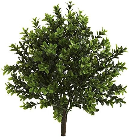 Nearly Natural 6113-S6 Sweet Grass Bush (Set of 6) (Indoor/Outdoor), 6 Piece,Green | Amazon (US)