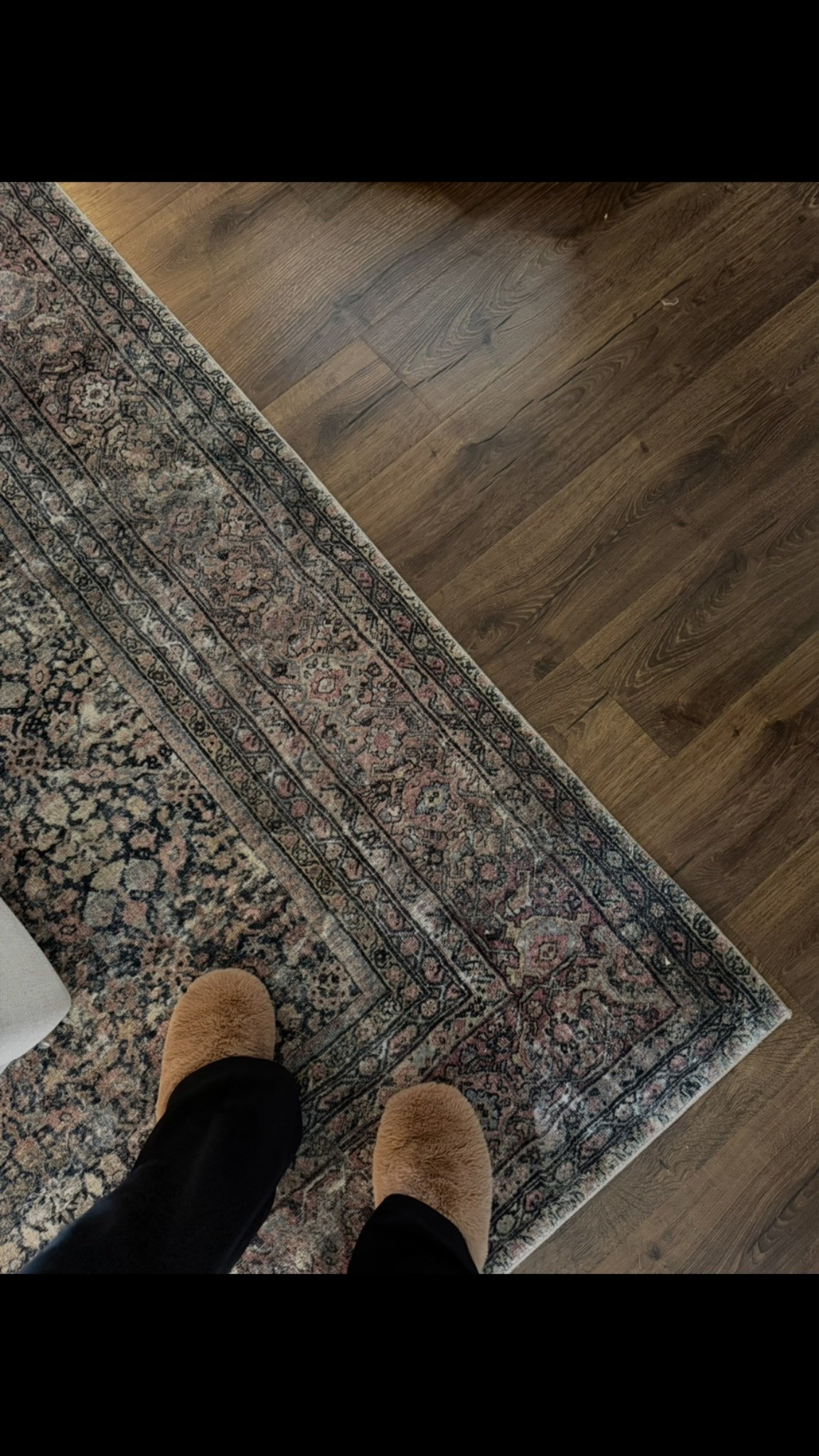 Me 🤝 my guest room rug // the Loloi x Amber Lewis Morgan in denim /multi - it’s cloud pile and truly SO soft! Also have this in the runner version for my kitchen 🤎

#LTKHome