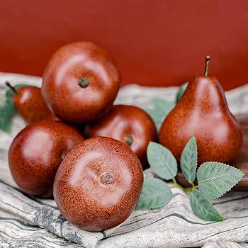 6 Pcs Faux Brown Pears - Realistic Fake Fruit for Home Decorations | Amazon (US)