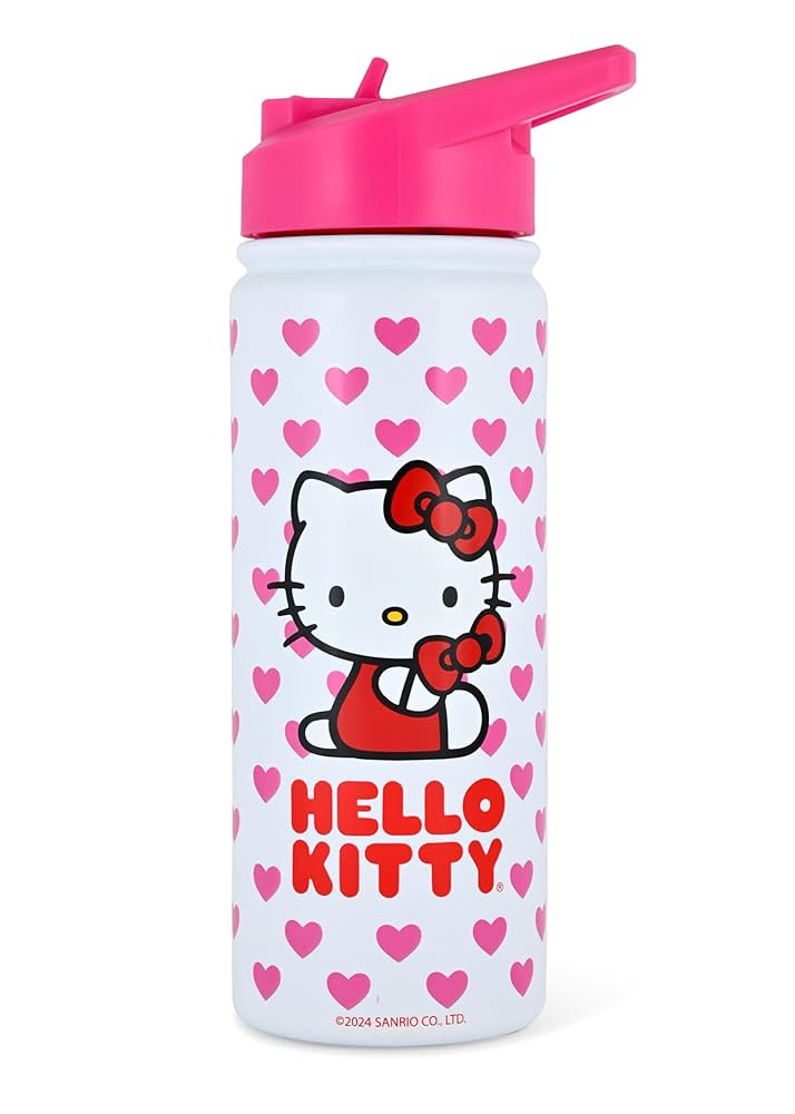 Fast Forward Sanrio Hello Kitty Insulated Stainless Steel Water Bottle | 20 Oz Insulated Water Bo... | Amazon (US)