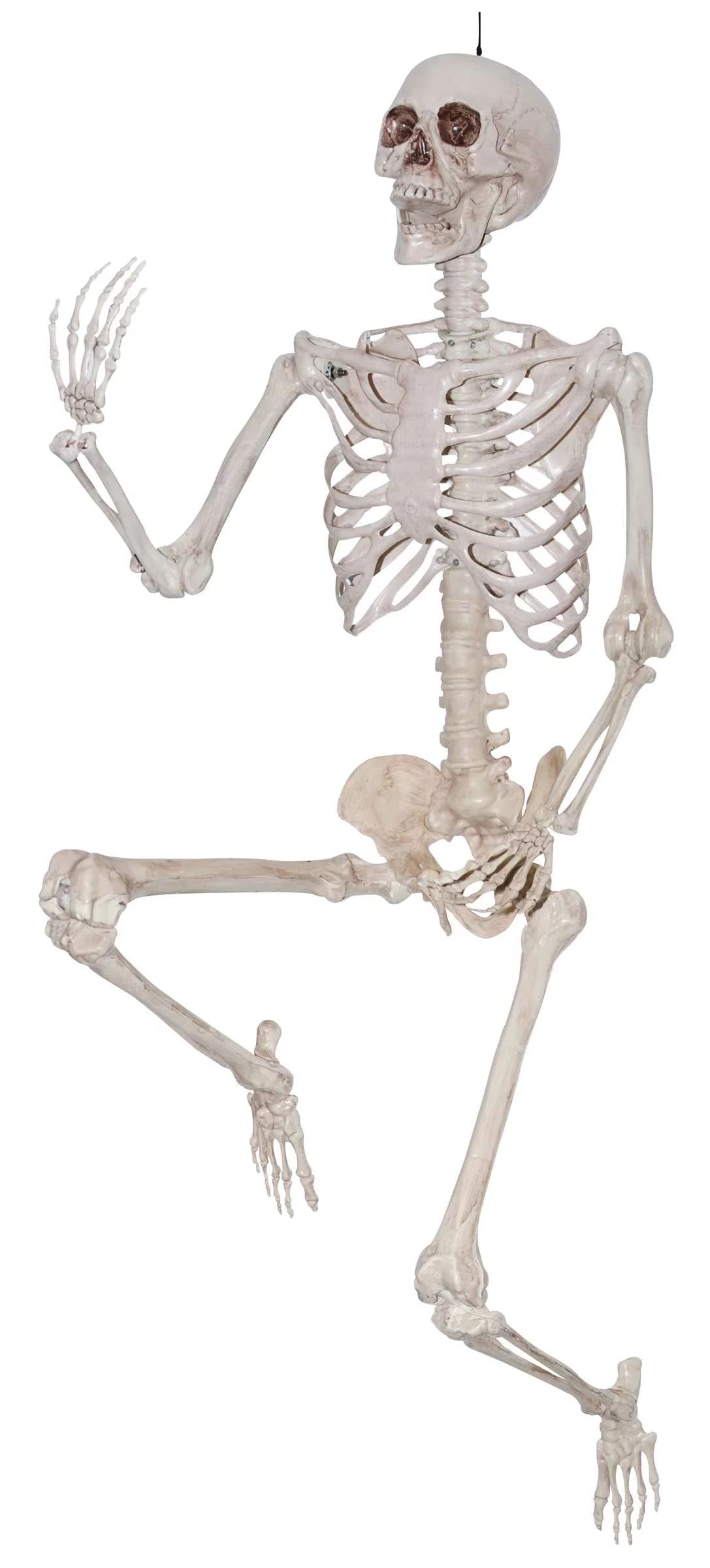 Halloween Hanging Plastic Posable Skeleton Decoration, Bone Color, 84 in, 7.9lb, by Way To Celebr... | Walmart (US)