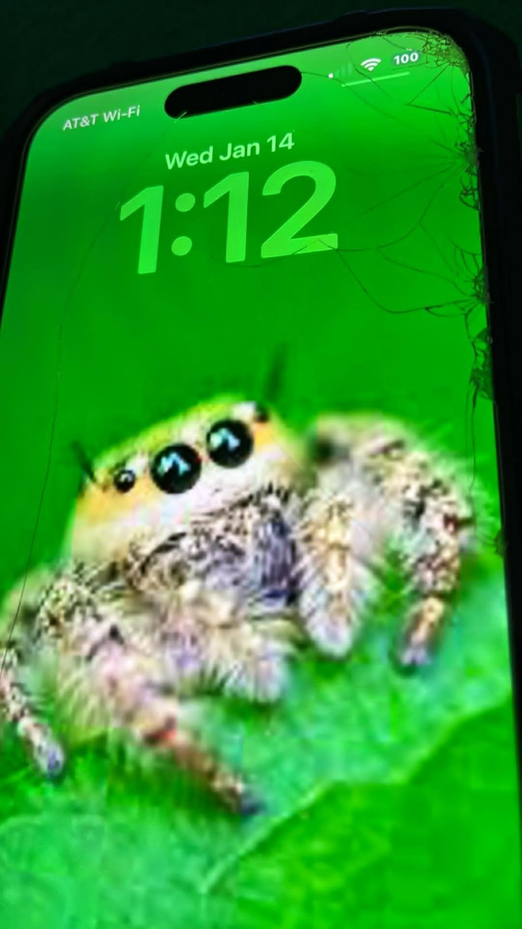 Ailun 3 Pack Screen Protector for iPhone 17 [6.3 inch] + 3 Pack Camera Lens Protector with Instal... | Amazon (US)