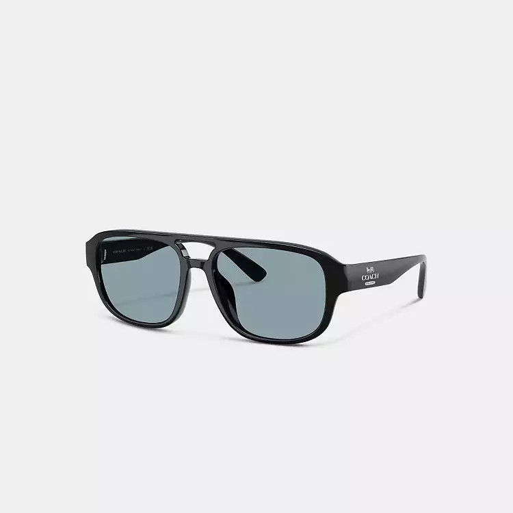 Pilot Sunglasses | Coach (US)