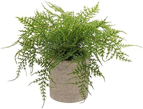 Briful Small Fake Plant Potted Plants Artificial Decor Plastic Asparagus Ferns Plant Faux Plants ... | Amazon (US)