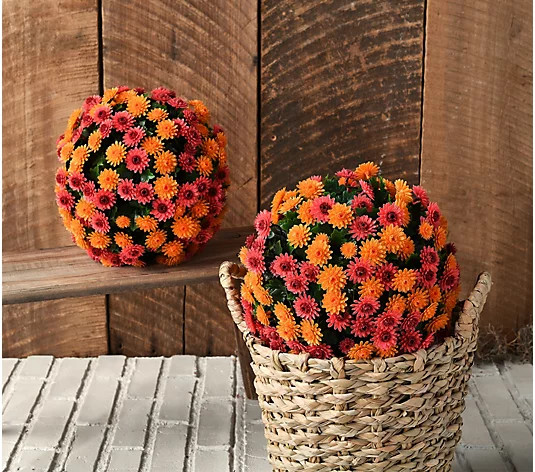 Wicker Park Set of (2) 10" Faux Mum Indoor/Outdoor Garden Spheres - QVC.com | QVC
