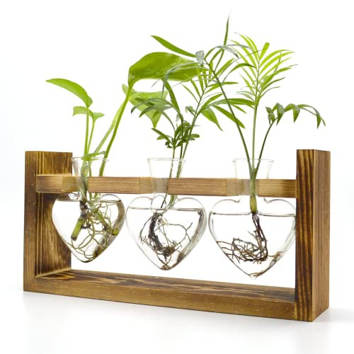 Air Plant Terrarium with Wooden Stand, Plant Propagation Stations with Heart Vase, Kawaii Plant Terrarium, Gifts for Plant Lovers Women, for Hydroponics Home Garden Office Decoration | Amazon (US)
