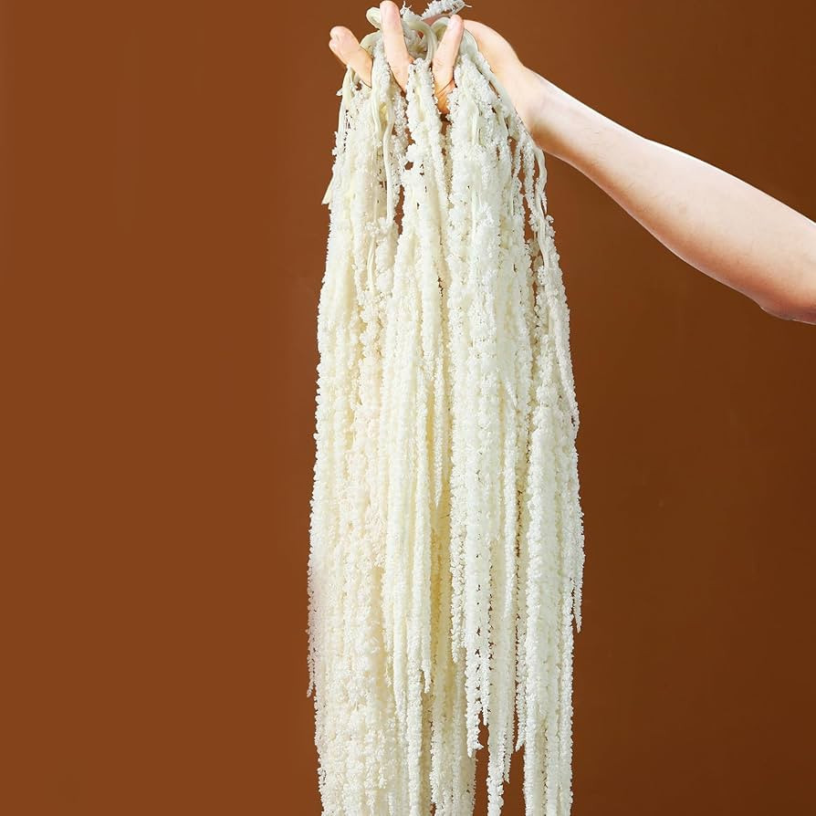 5Pcs Dried Amaranthus Hanging Flowers, 23" White Preserved Natural Wisteria for Wedding Arch, Fal... | Amazon (US)