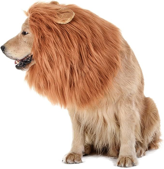 TOMSENN Realistic & Funny Lion Mane for Dogs - Complementary Lion Mane for Dog Costumes for Mediu... | Amazon (US)