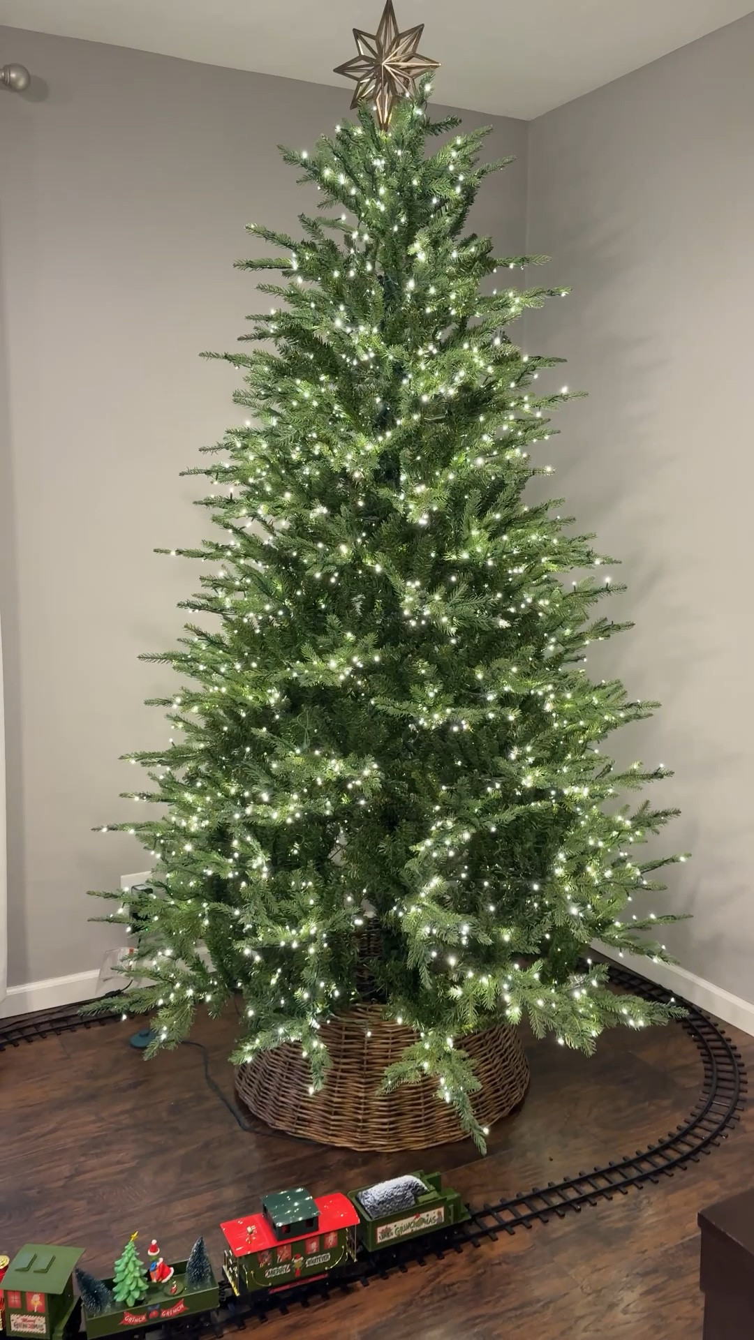 The Grand Duchess twinkling light Balsam tree is the most beautiful tree 🎄

#LTKHome #LTKHoliday