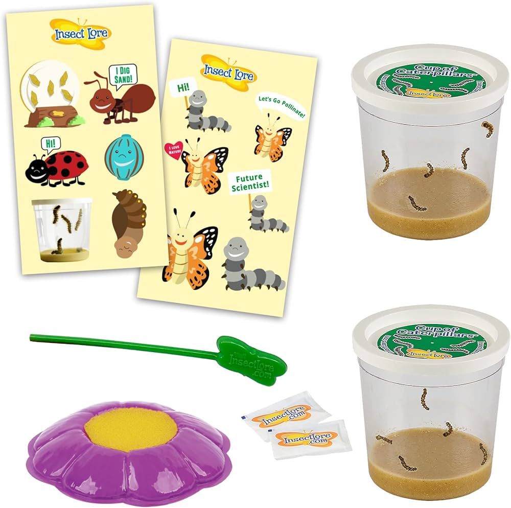 Insect Lore Deluxe Two Cups of Caterpillars | Amazon (US)