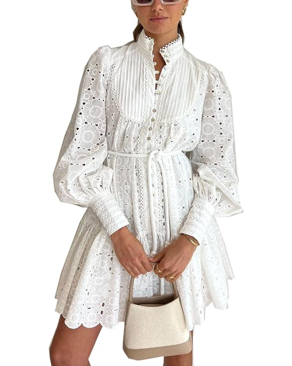 Roiii Women A-Line Lace Loose Baroque Button Down Long Sleeve Casual Dresses V Neck Embroidery Pa... | Amazon (US)