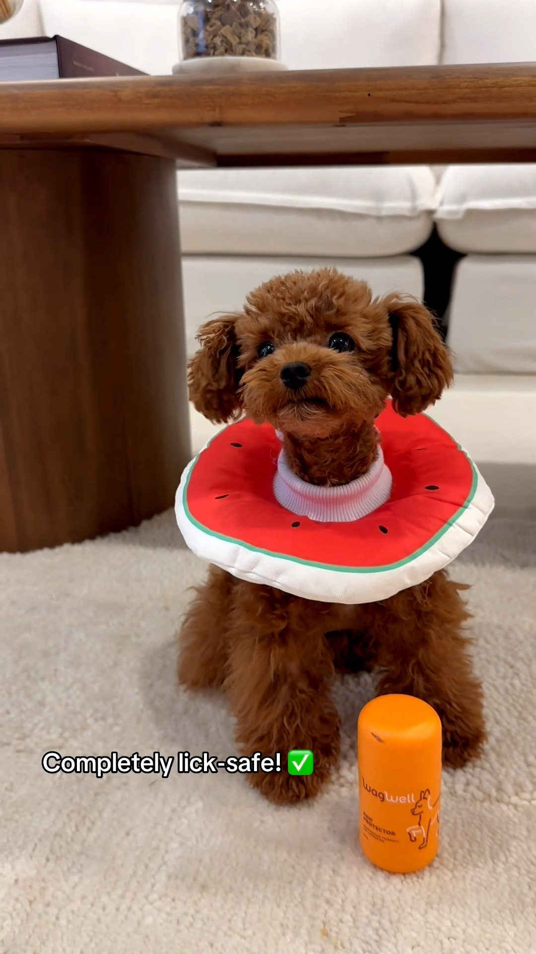 Paw care for your pups 🐶🧴🐾

#LTKootd #LTKselfcare #LTKvlog