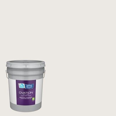 Valspar  4000 Eggshell Snowbound Hgsw4062 Latex Interior Paint (5-Gallon) | Lowe's