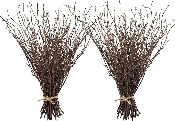 Uieke 100PCS Natural Dried Birch Twigs – 17 Inch Dried Plants Decorative Birch Branches for DIY... | Amazon (US)