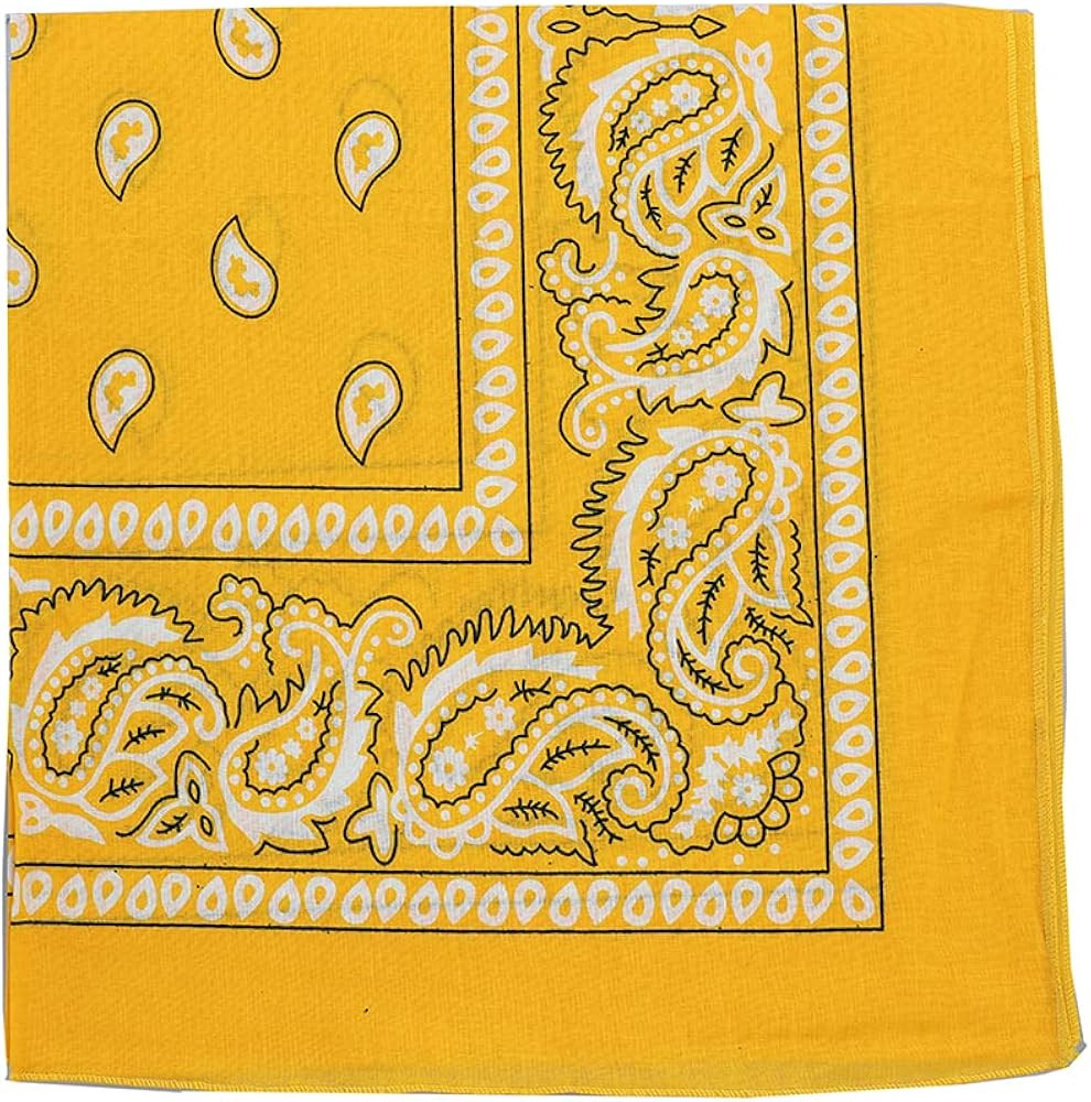 Extra Large Paisley Bandana 27x27 Inch | Amazon (US)