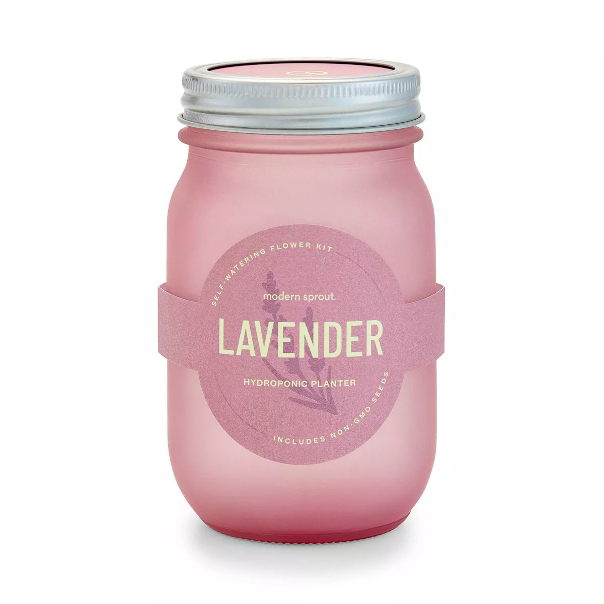 Modern Sprout Pint Jars Garden Seed Kits | Target