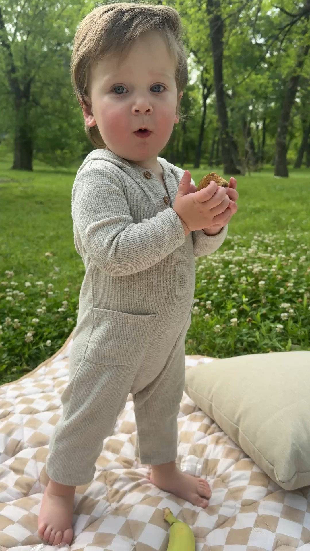 Picnic blanket 
Outdoor blanket 

#LTKmomlife #LTKSeasonal #LTKBaby