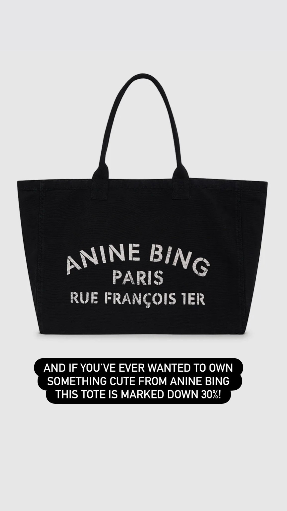 Anine Bing Tote - on sale!