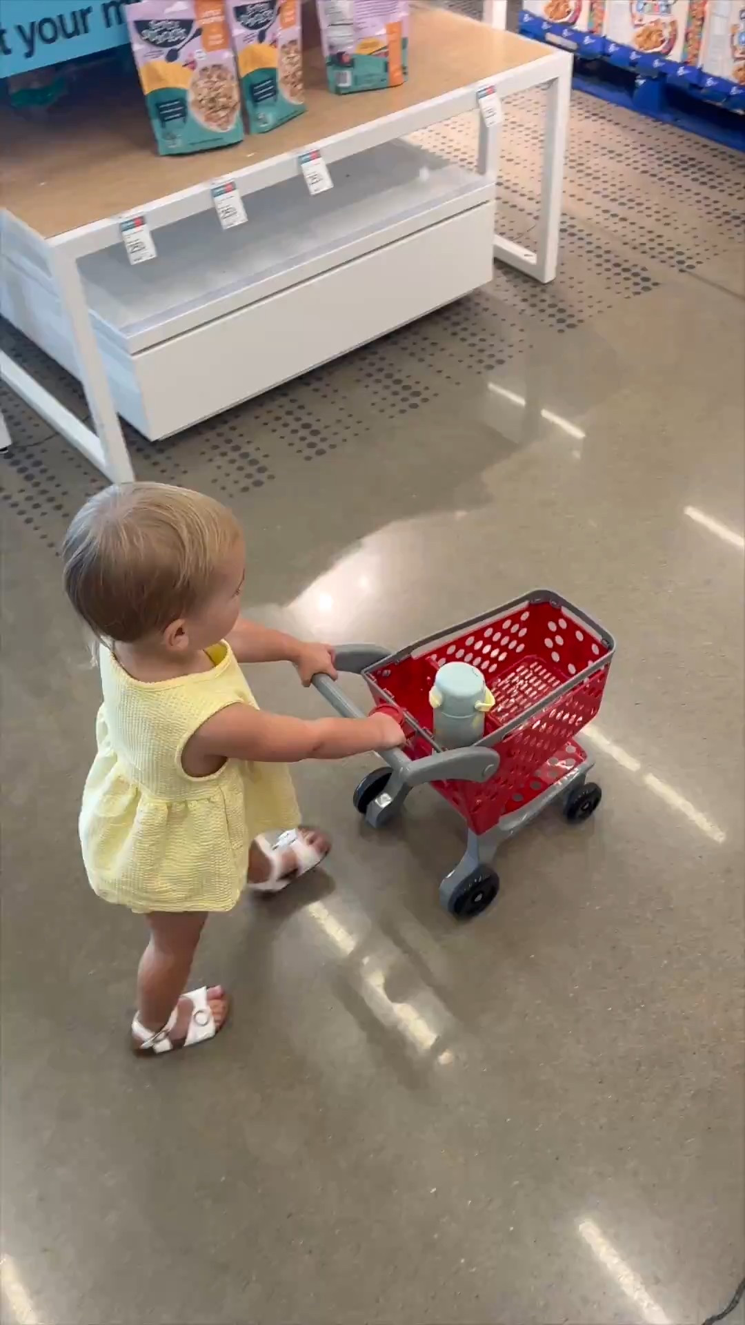 The best shopping cart for toddlers! Keeps them entertained while we shop!  

 

#LTKBaby #LTKKids #LTKFamily